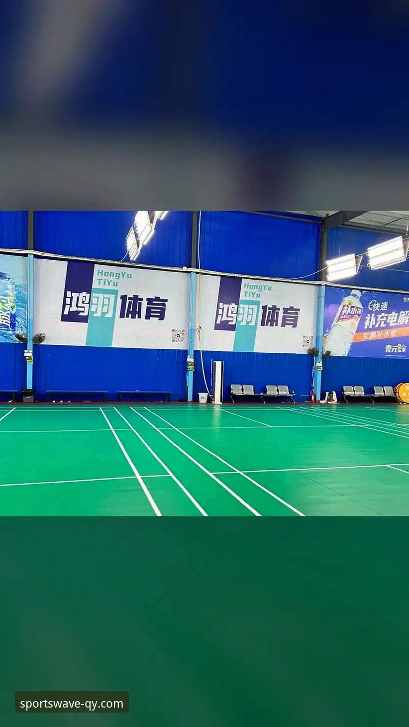 qy球友会体育平台评测:功能、体验与技术细节详解