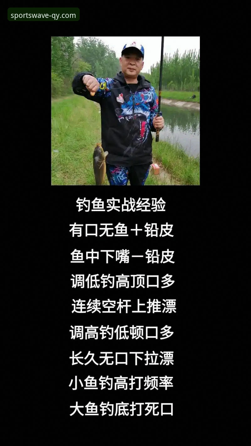 资深用户分享:千亿球友会安全可靠平台的使用心得与实战经验